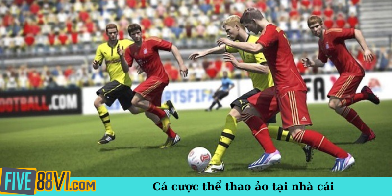 Cá cược thể thao ảo tại nhà cái
