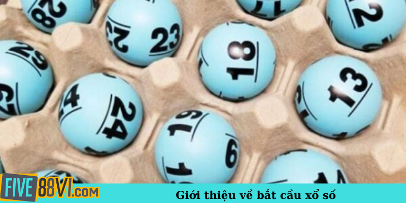 Giới thiệu về bắt cầu xổ số